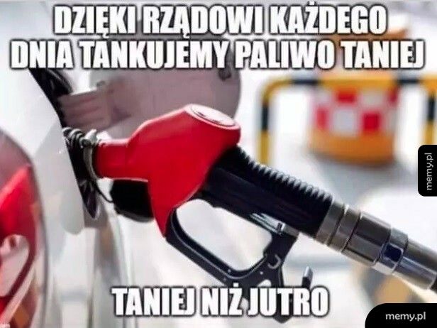 Paliwo