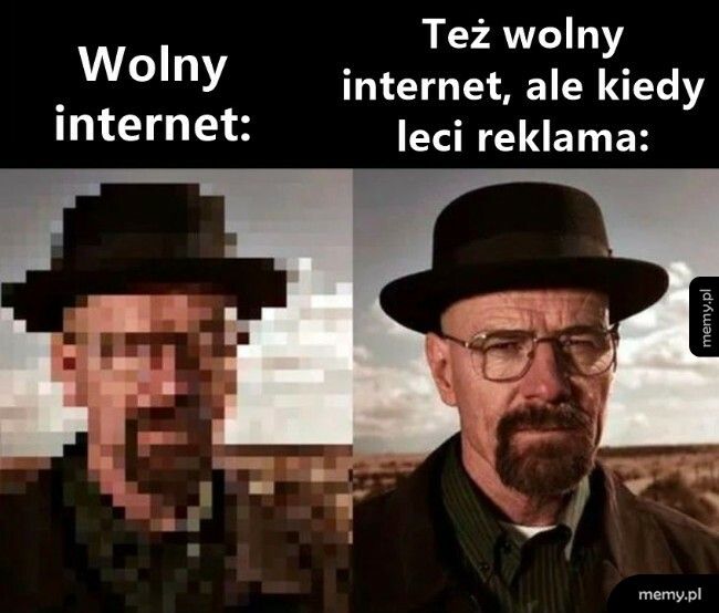 Wolny internet