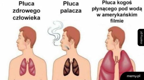 Płuca…