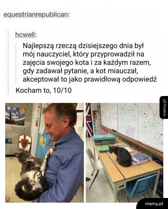 Kot na lekcji