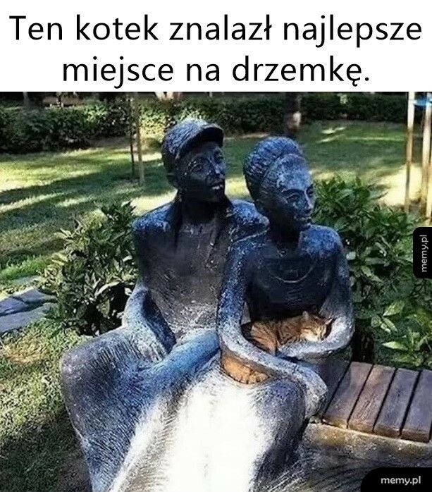 Drzemka na kolanach