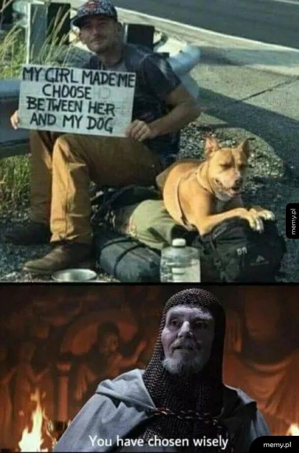 Dogs before Hoes
