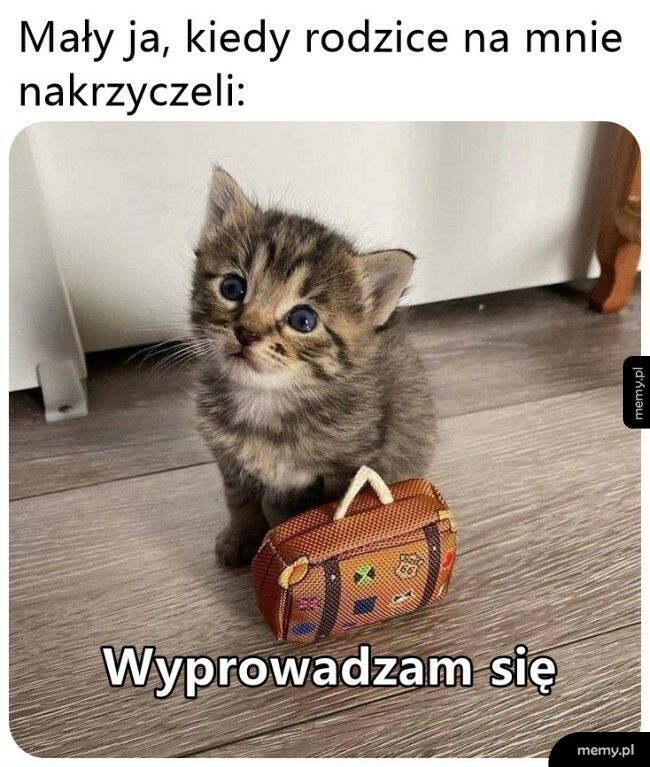 Wyprowadzka