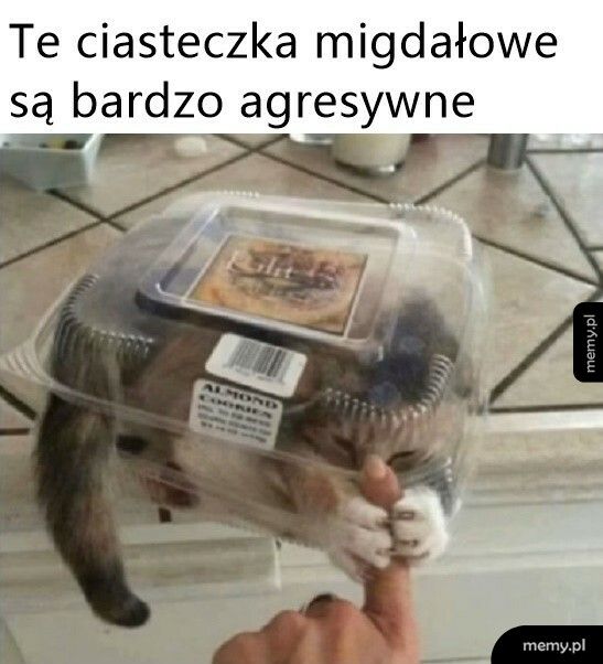 Agresywne ciasteczka