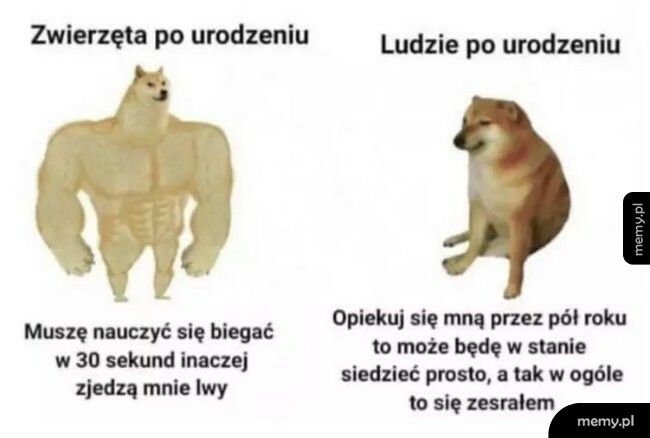 Ludzie po urodzeniu