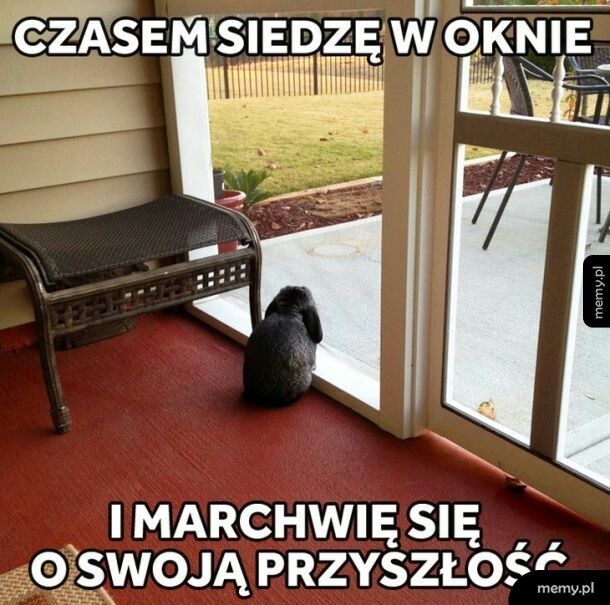 Czasem się marchwię