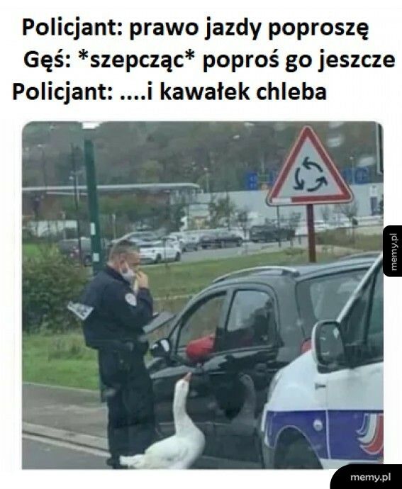 No poproś