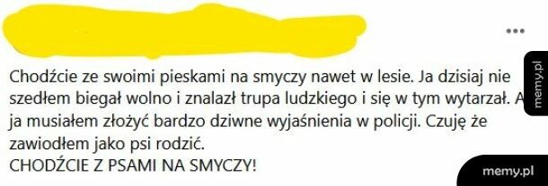 Z psem to zawsze na smyczy