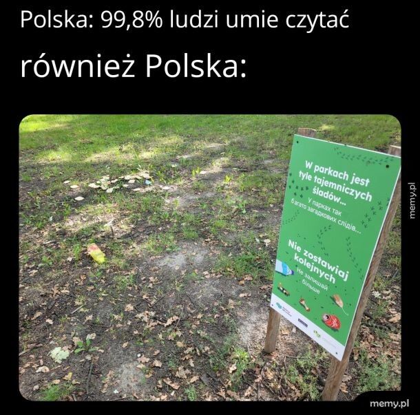 Park we Wrocławiu