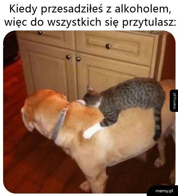 Tryb miłość: Włączony