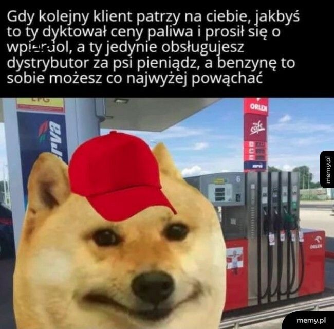 Ceny paliwa