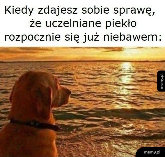 Uczelniane piekło