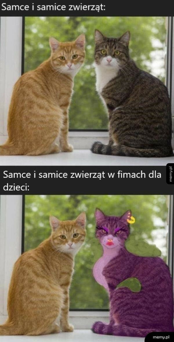 Samce i samice