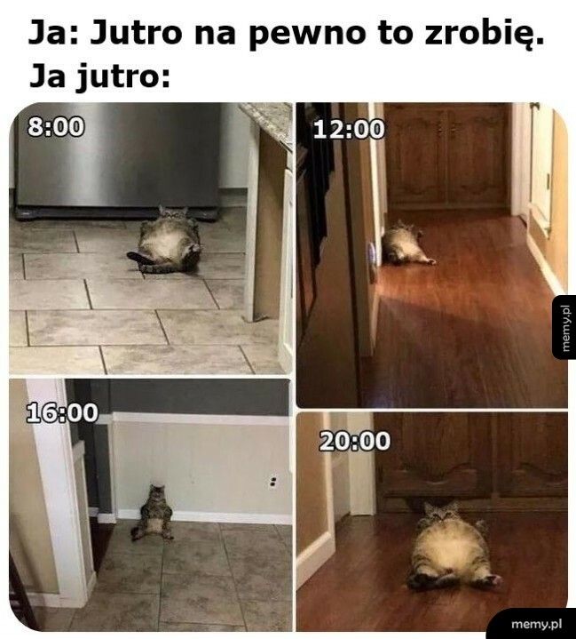 Jutro