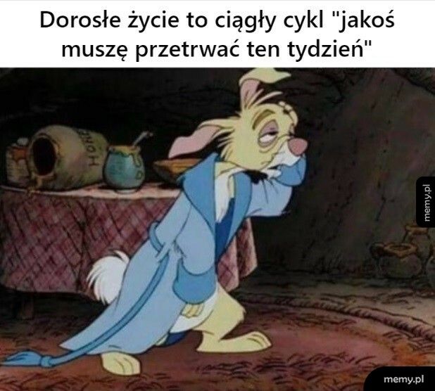 Dorosłe życie