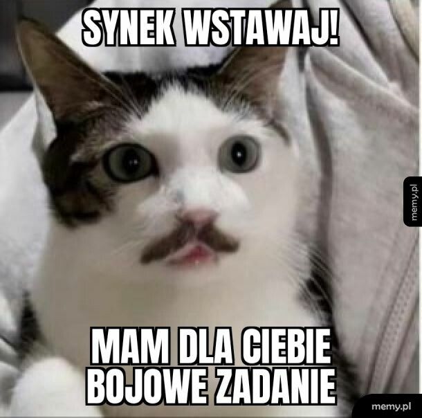 Bojowe zadanie