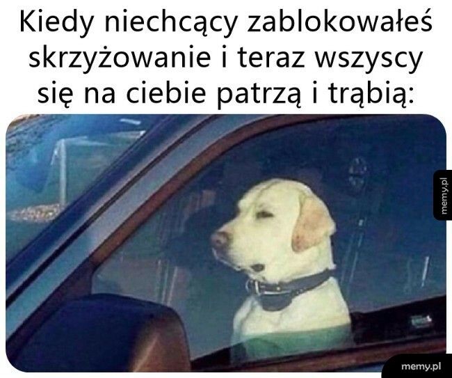 To się narobiło