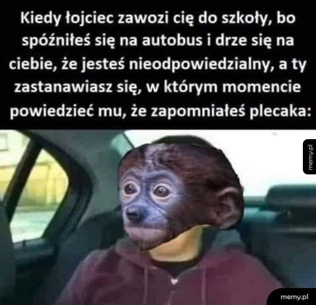 To się porobiło