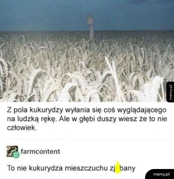 Tak dla ścisłości