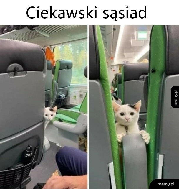 Ciekawski sąsiad