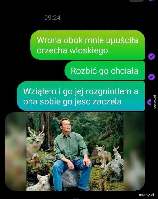 Pomocna dłoń