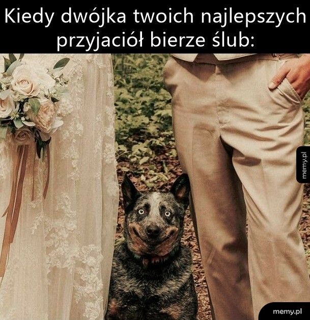 Ślub przyjaciół