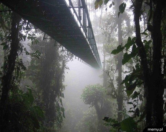 Sky walk - Kostaryka