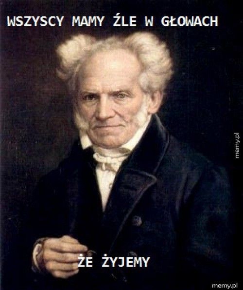 Arthur Schopenhauer - Memy.pl