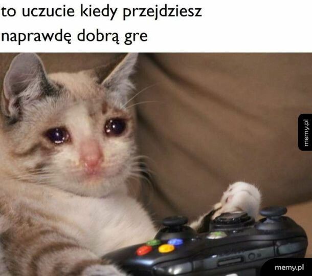 Eh i życie traci sens