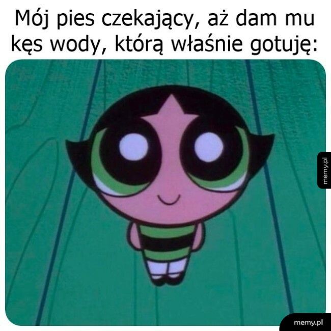 No weź się podziel