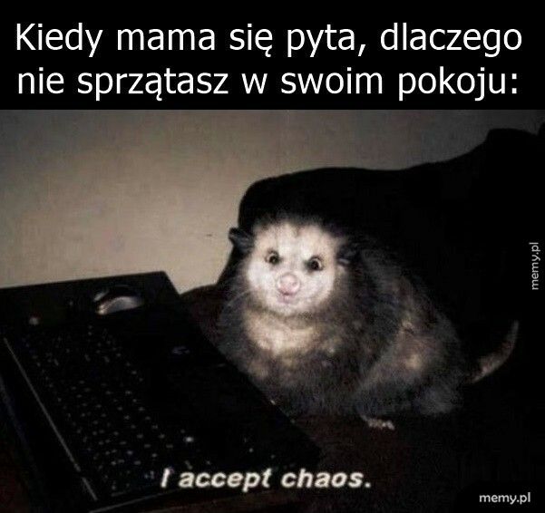 Sprzątanie pokoju