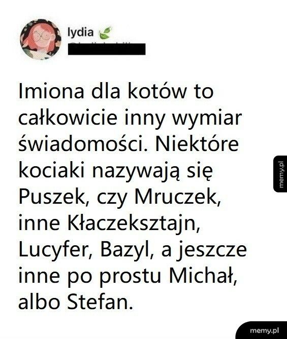 Imiona dla kotów