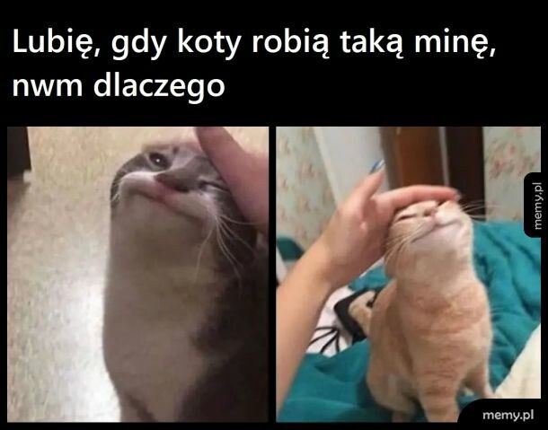 ¯\_₍⸍⸌̣ʷ̣̫⸍̣⸌₎_/¯
