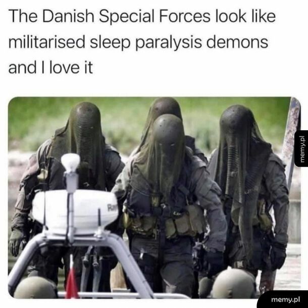 Duńskie Siły Specjalne.