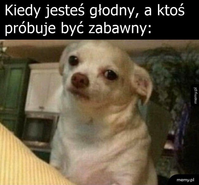 No bardzo śmieszne