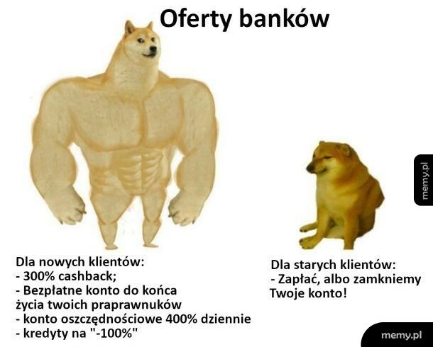 Oferty banków