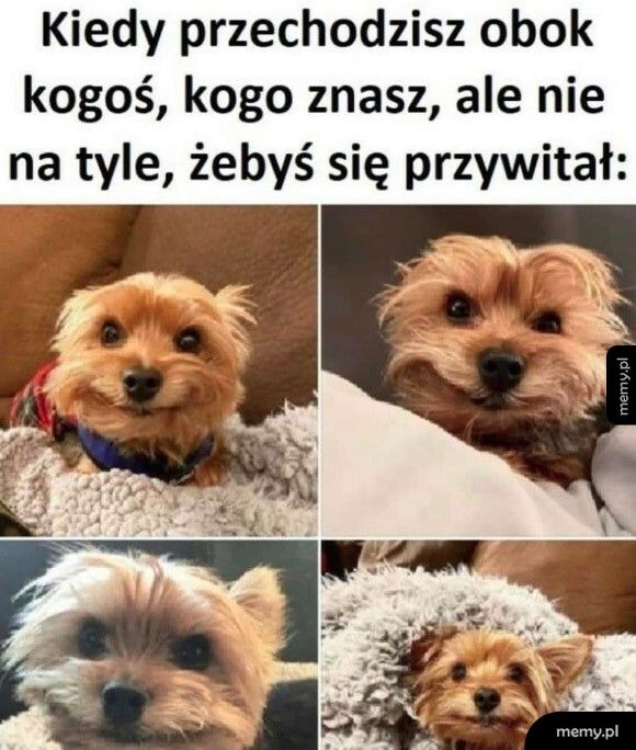 Przywitać się czy nie