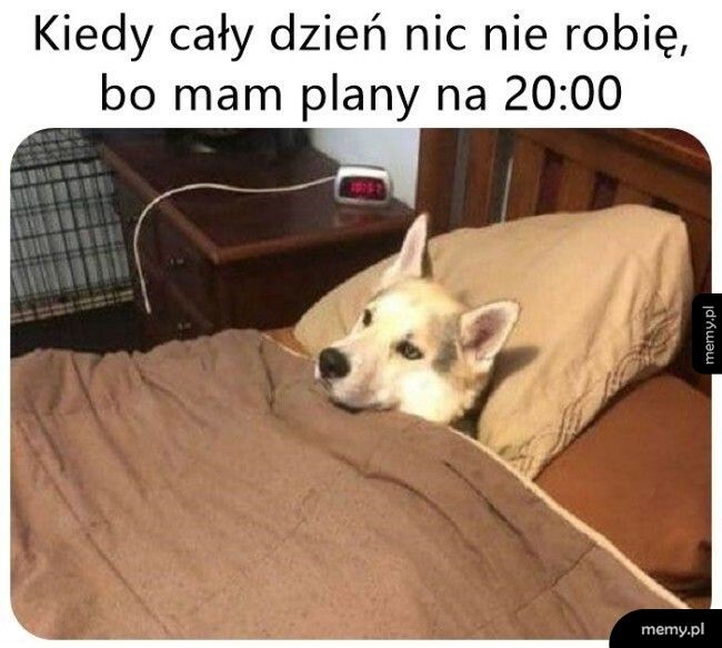 Nie opłaca się zaczynać