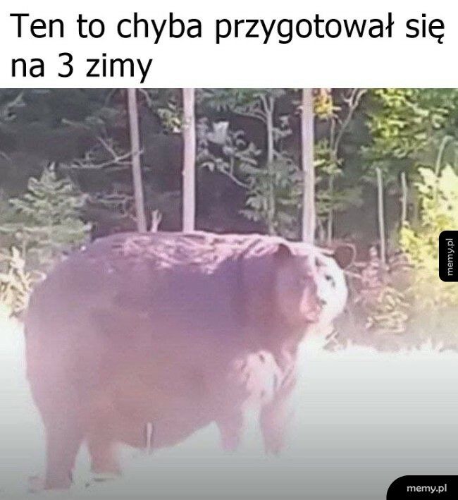 Solidnie przygotowany na zimę