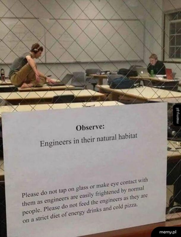 Płochliwi inżynierowie