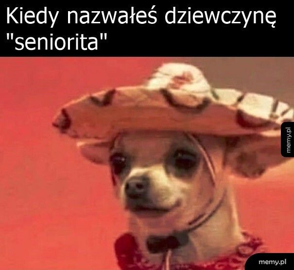 Seniorita