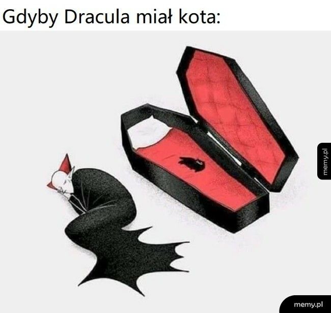 Gdyby Dracula miał kota: