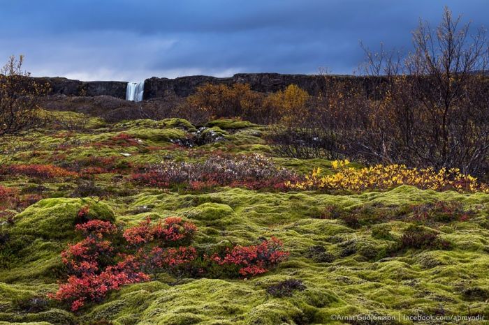 Północ Westeros: Thingvellir, Islandia.