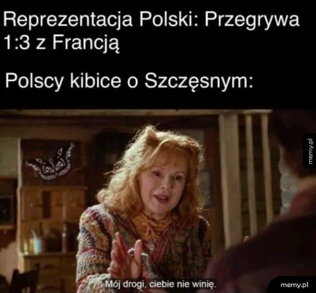 Polscy kibice
