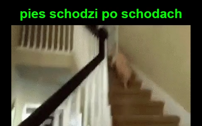 Pieseł