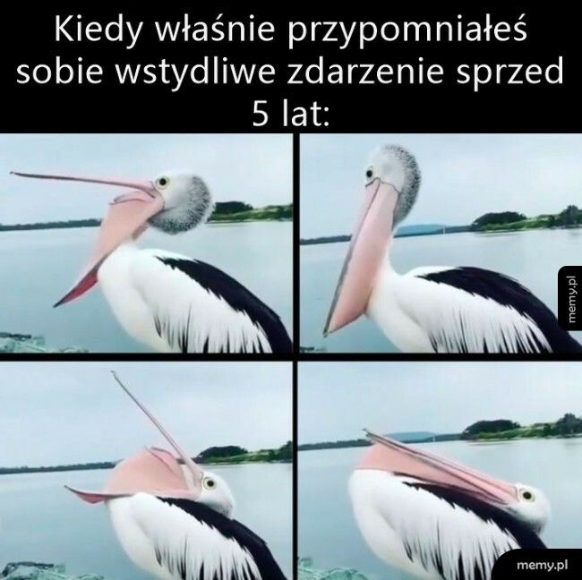 To już zawsze będzie wracać