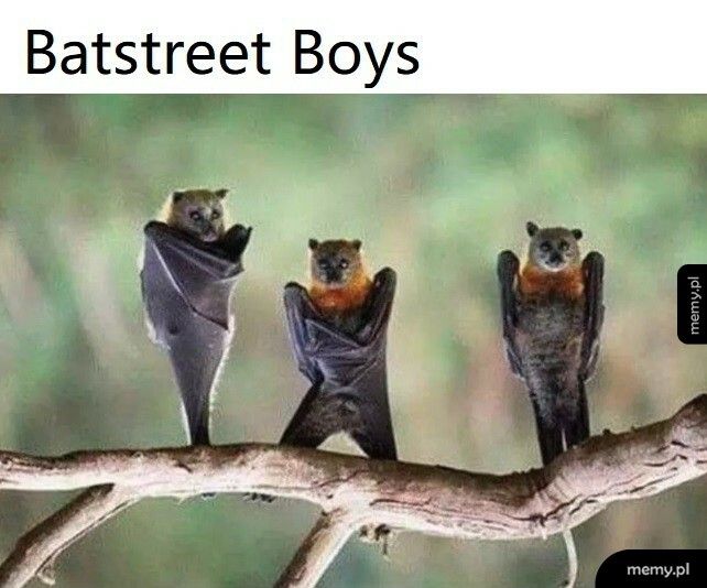Batstreet Boys