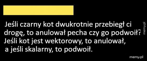 Czarny kot przebiegł drogę