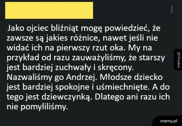 Ojciec bliźniąt