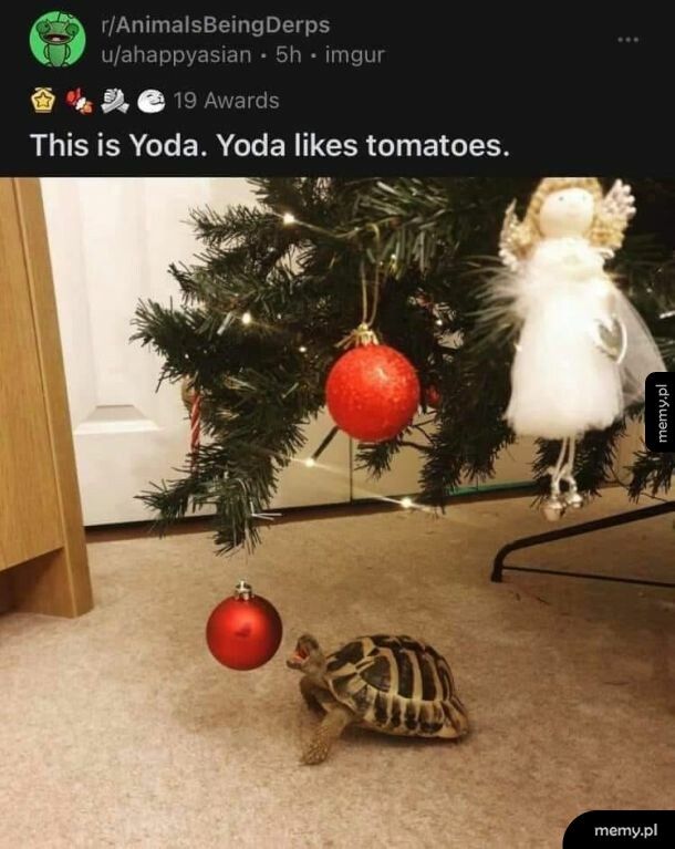 Yoda gorzko się rozczaruje